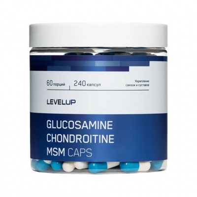  LevelUp Chondroitine+Glucosamine+MSM 90 