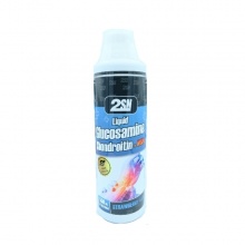  2SN Liquid Glucosamine + Chondroitin + MSM 500 