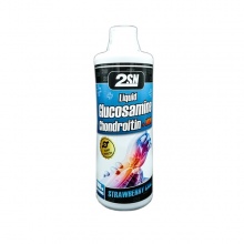  2SN Liquid Glucosamine + Chondroitin + MSM 1000 