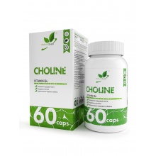  NaturalSupp Choline Vitamin B4 60 